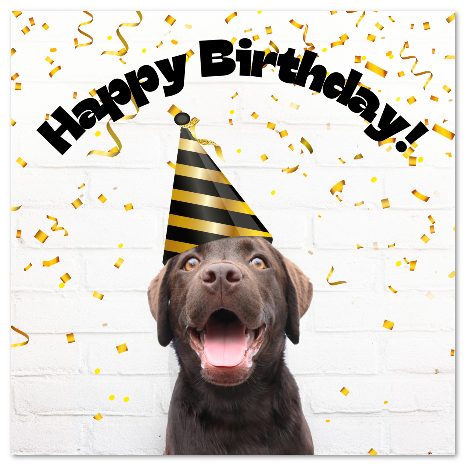 Printable Dog Birthday Cards