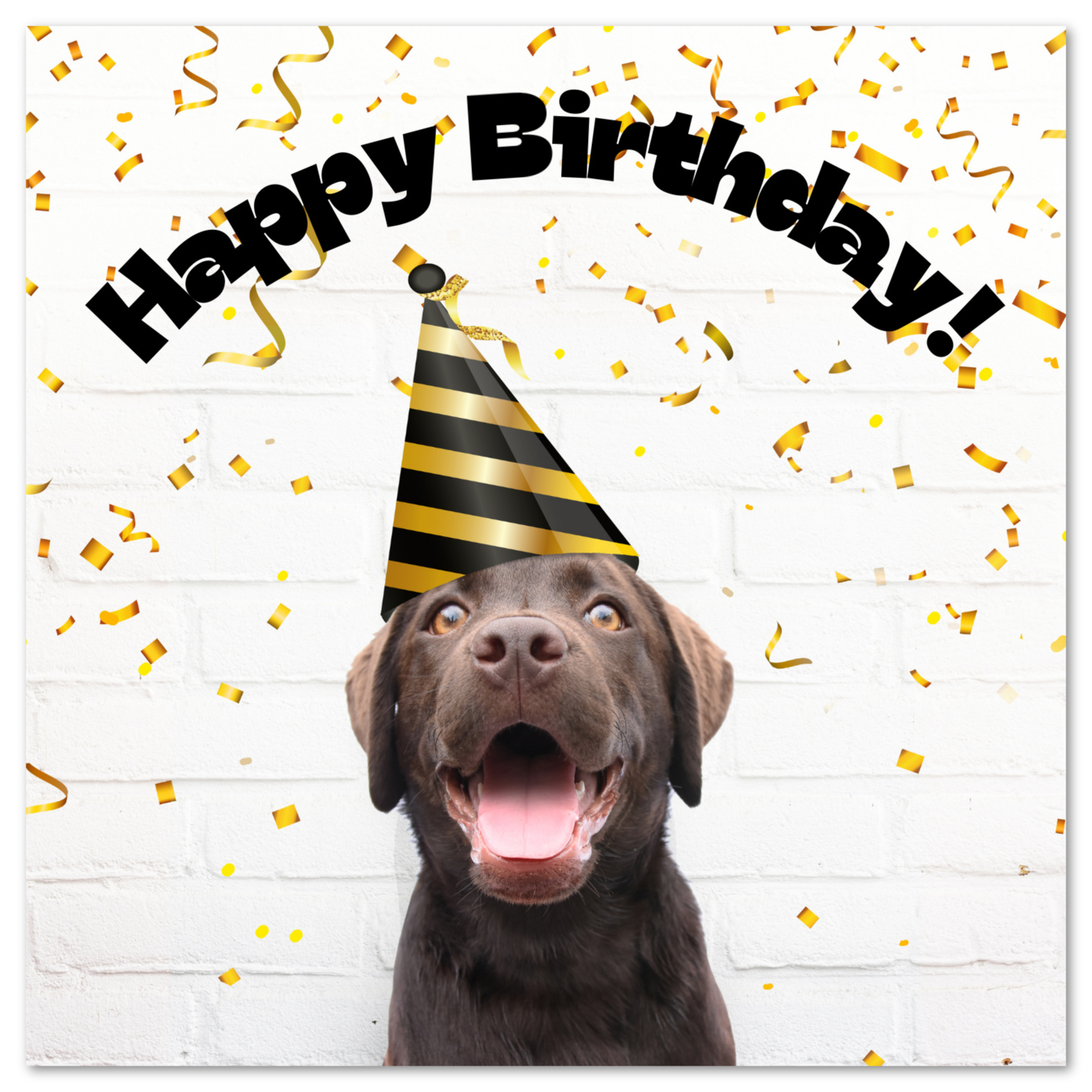 Birthday Card For Dog Printable Printable Word Searches